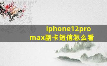 iphone12pro max副卡短信怎么看